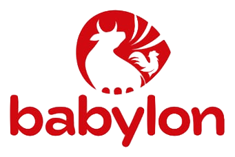Babylon Großhandel – Firmenkunde von Check Umzug